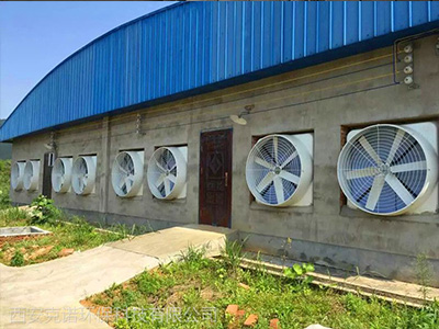 負壓風(fēng)機價格差別大原因